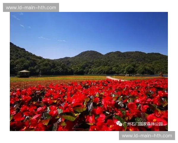 清远VS大城市：在北回归线的绿意里，找回那个弄丢了的自己